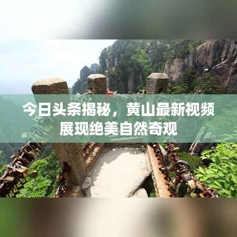 今日头条揭秘,黄山最新视频展现绝美自然奇观