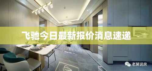 飞驰今日最新报价消息速递