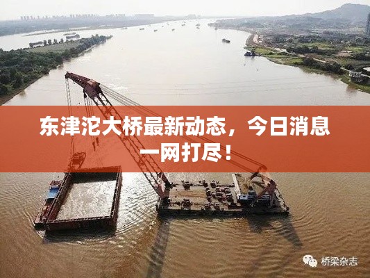 东津沱大桥最新动态，今日消息一网打尽！