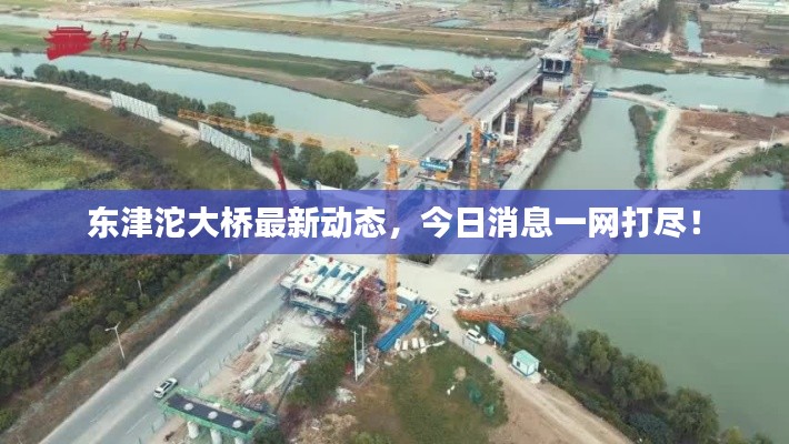 东津沱大桥最新动态,今日消息一网打尽!