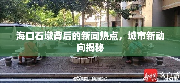 海口石墩背后的新闻热点，城市新动向揭秘