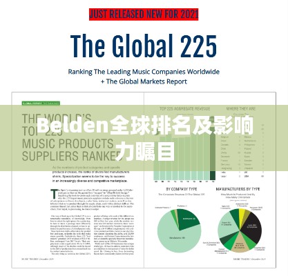 Belden全球排名及影响力瞩目