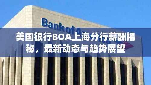 美国银行BOA上海分行薪酬揭秘，最新动态与趋势展望