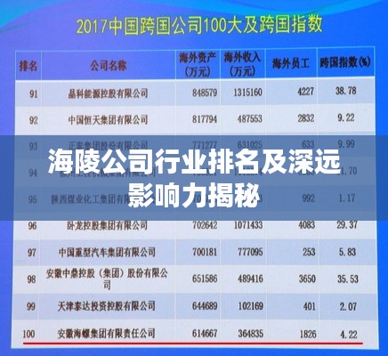 海陵公司行业排名及深远影响力揭秘