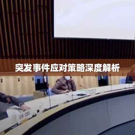突发事件应对策略深度解析