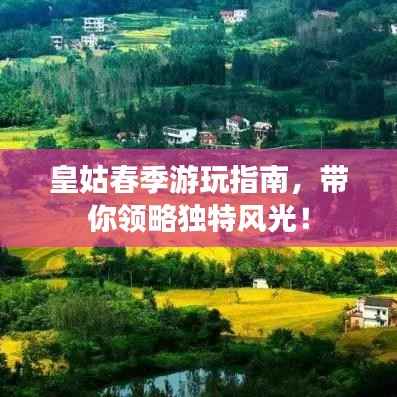 皇姑春季游玩指南，带你领略独特风光！