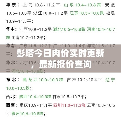 越鸟南栖 第5页