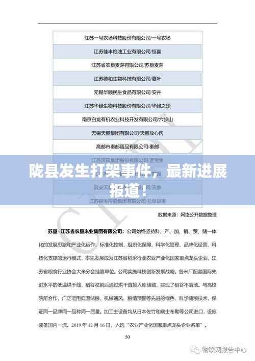 陇县发生打架事件，最新进展报道！