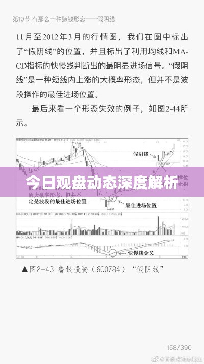 今日观盘动态深度解析
