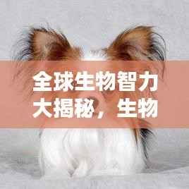 全球生物智力大揭秘，生物智慧排行榜TOP未知