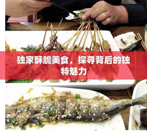 独家酥脆美食，探寻背后的独特魅力