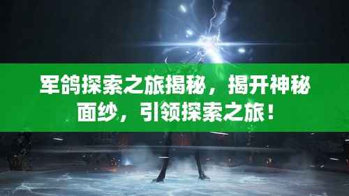 军鸽探索之旅揭秘，揭开神秘面纱，引领探索之旅！