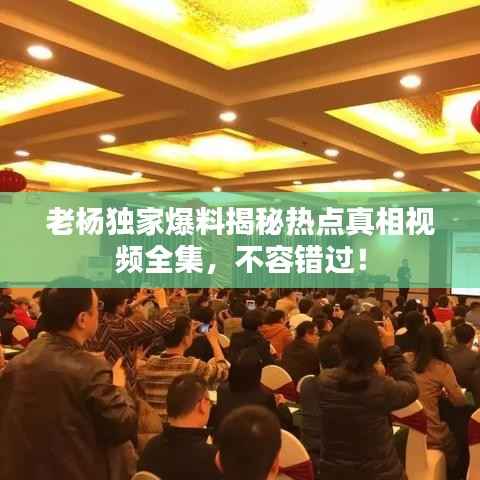老杨独家爆料揭秘热点真相视频全集，不容错过！