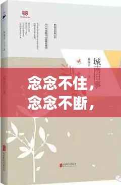 念念不住，念念不断，深度解析这一心理现象的奥秘