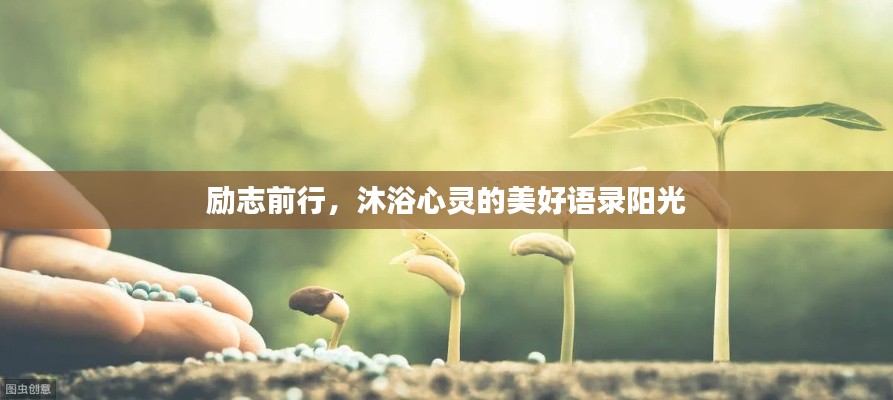 励志前行，沐浴心灵的美好语录阳光
