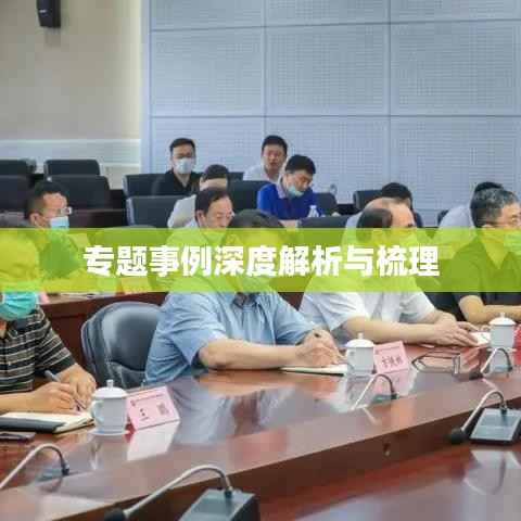 专题事例深度解析与梳理
