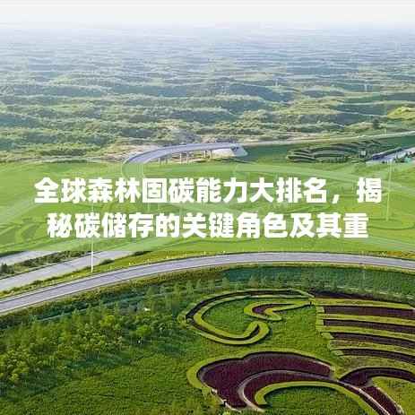 全球森林固碳能力大排名，揭秘碳储存的关键角色及其重要性