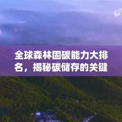 全球森林固碳能力大排名,揭秘碳储存的关键角色及其重要性