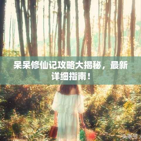 呆呆修仙记攻略大揭秘，最新详细指南！