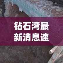 钻石湾最新消息速递