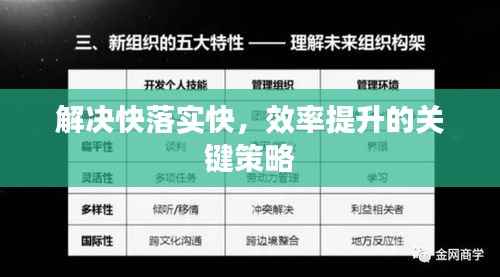 解决快落实快，效率提升的关键策略