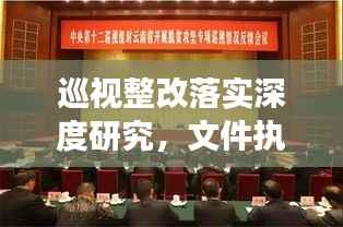 巡视整改落实深度研究，文件执行与成效探讨