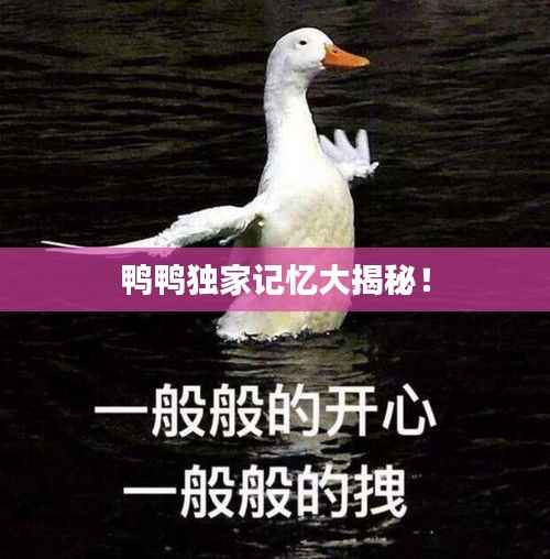 鸭鸭独家记忆大揭秘！