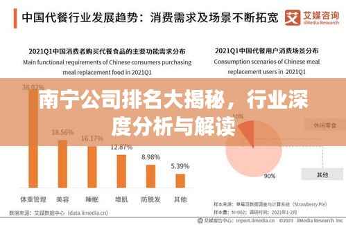 南宁公司排名大揭秘，行业深度分析与解读