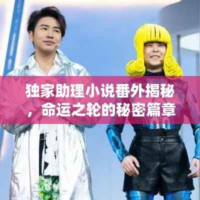 独家助理小说番外揭秘，命运之轮的秘密篇章独家曝光