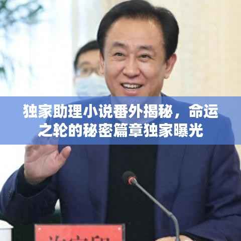 独家助理小说番外揭秘,命运之轮的秘密篇章独家曝光