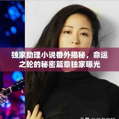 独家助理小说番外揭秘,命运之轮的秘密篇章独家曝光