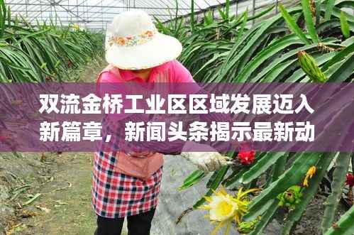 双流金桥工业区区域发展迈入新篇章,新闻头条揭示最新动态