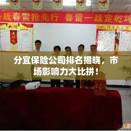 分宜保险公司排名揭晓，市场影响力大比拼！
