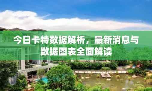 今日卡特数据解析，最新消息与数据图表全面解读