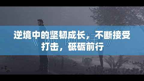 逆境中的坚韧成长，不断接受打击，砥砺前行