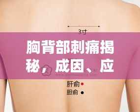 胸背部刺痛揭秘，成因、应对与预防策略全解析