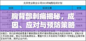 胸背部刺痛揭秘,成因、应对与预防策略全解析