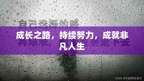 成长之路，持续努力，成就非凡人生