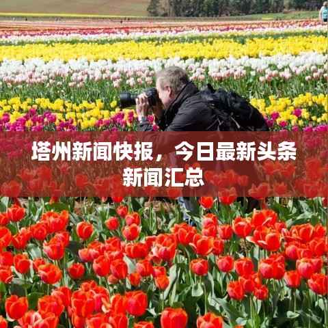 塔州新闻快报，今日最新头条新闻汇总