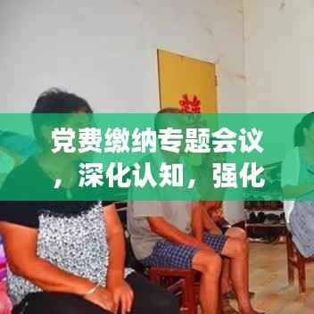 党费缴纳专题会议，深化认知，强化执行力