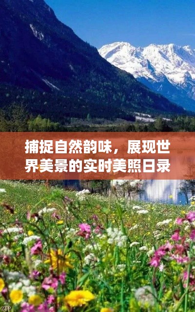 捕捉自然韵味，展现世界美景的实时美照日录