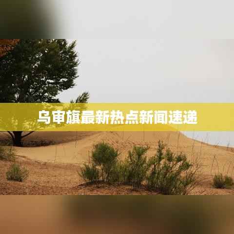 乌审旗最新热点新闻速递