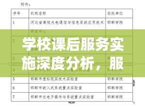 学校课后服务实施深度分析，服务成效与未来发展展望