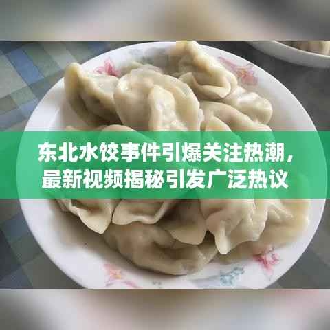 东北水饺事件引爆关注热潮，最新视频揭秘引发广泛热议