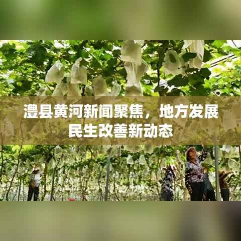 澧县黄河新闻聚焦，地方发展民生改善新动态
