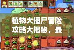 植物大僵尸冒险攻略大揭秘，最新攻略助你轻松通关！