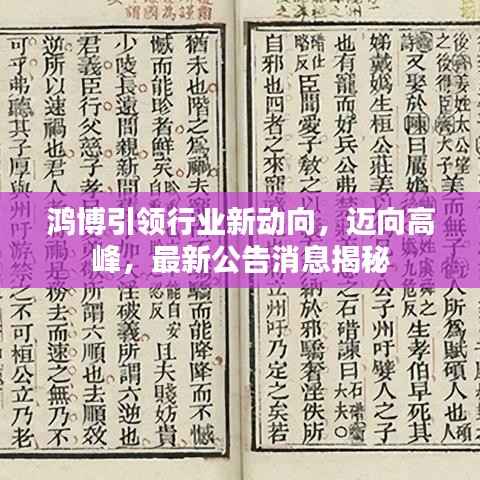 鸿博引领行业新动向，迈向高峰，最新公告消息揭秘