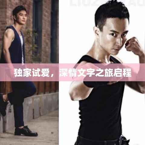 独家试爱,深情文字之旅启程
