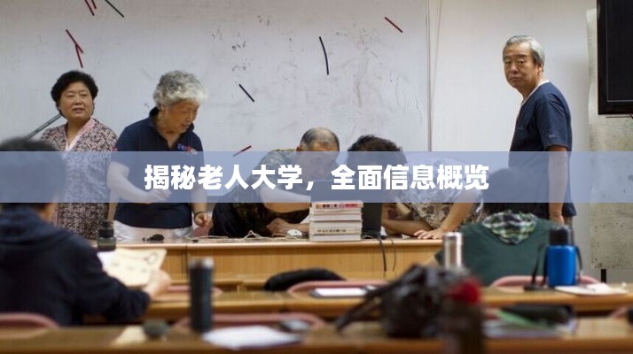 揭秘老人大学，全面信息概览