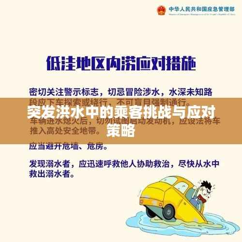 突发洪水中的乘客挑战与应对策略